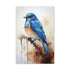 Beautiful blue bird canvas with tranquil sky & detailed tree branch.