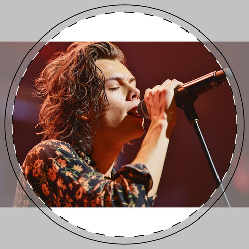 1. Harry Styles Coaster: Pop Star Perfection