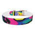 Neon graffiti dog collar, medium size, in sleek black onyx.