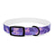 Lavender Fields Dog Collar in Black Onyx, size M: Pet Paradise.