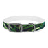 Tiger Stripe Jungle Safari Collar