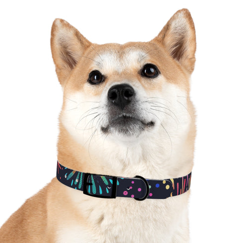 Vibrant festive fireworks pattern dog collar for medium size dogs in black.
