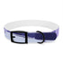 Stylish M Lavender Fields Dog Collar in Black Onyx.