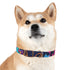 Neon graffiti dog collar with urban style in black onyx, M.