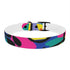Neon graffiti dog collar with urban chic black onyx design.