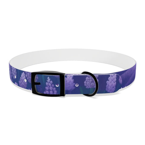 Stylish Lavender Fields Dog Collar with Black Onyx Detail - Medium