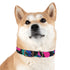 Neon graffiti dog collar in M size, black onyx urban chic.