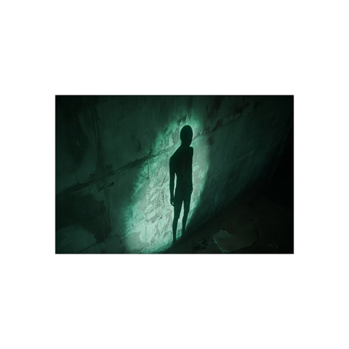 11 Invisible Creatures Glowing Shadows