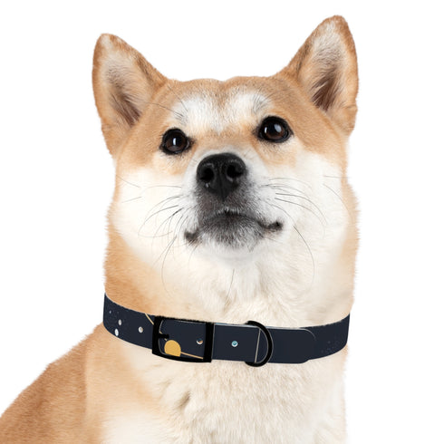 Starry Night Dog Collar: Constellation Chic