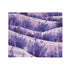 Provence Lavender Botanical Fields Seamless Plush Fleece Throw Blanket - View 2 | Prints With Passion
