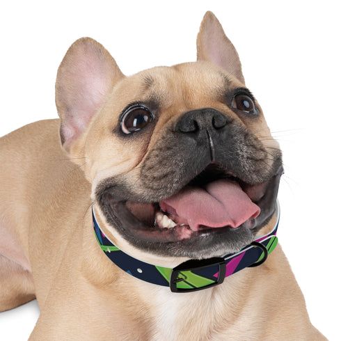 Neon graffiti dog collar in black for medium-sized pets.