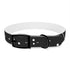 Galactic Dreams Dog Collar in M, Black Onyx, celestial star pattern.