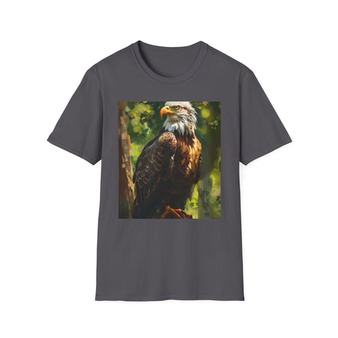 Eagles painting t-shirt, charcoal cotton crew neck tee, mens womens summer.