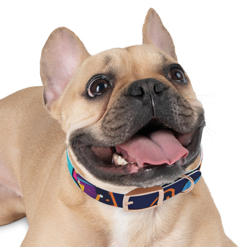 Neon graffiti dog collar: urban style statement for M dogs in black onyx.