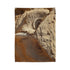 Desert Wind Forming Owl Face Plush Fleece Throw Blanket