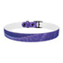 Stylish lavender fields dog collar with seamless floral pattern for pets.