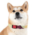 Retro Waves Dog Collar: Vibrant, Stylish and Fun!