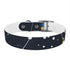 Starry Night Dog Collar: Constellation Chic