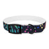 Vibrant dog collar with festive fireworks pattern, size M in Black Onyx.
