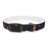 Festive Fireworks Dog Collar in Vibrant Black Onyx for Medium Dogs