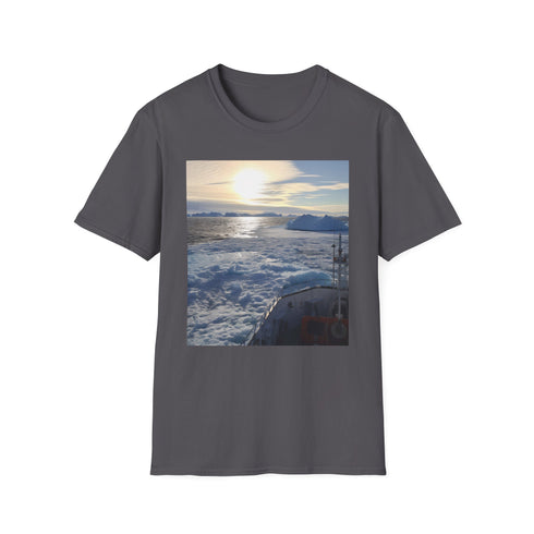 Charcoal cotton T-shirt with Antarctic iceberg design regular fit crew neck