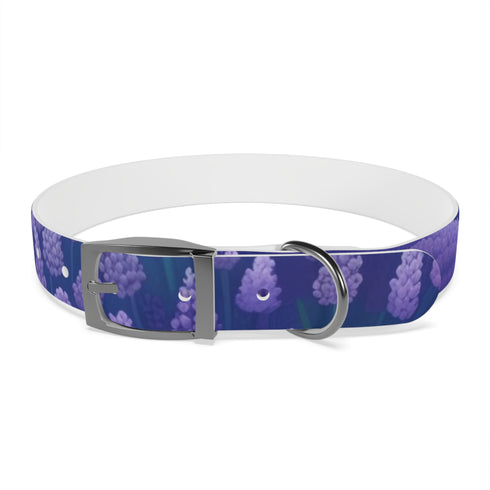 Stylish lavender fields dog collar for medium dogs in black onyx.