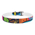 Neon graffiti dog collar in black onyx for urban style.