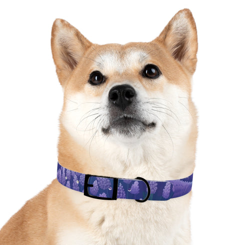 Stylish lavender fields dog collar for medium dogs in black onyx.