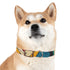 Retro Waves Dog Collar: Vibrant & Stylish