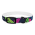 Neon graffiti dog collar, M size, black onyx variant.