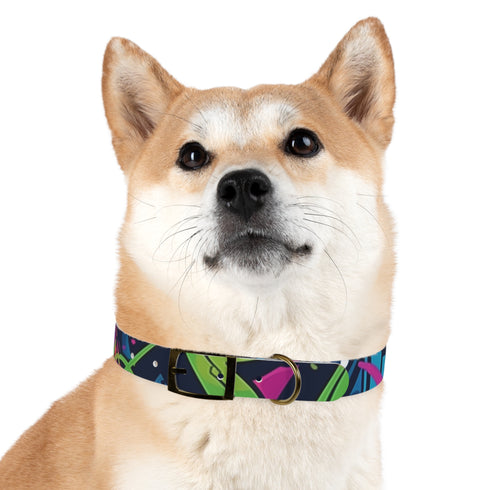 Neon graffiti dog collar in black onyx for medium dogs.
