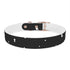 Galactic Dreams Dog Collar in Medium Black Onyx for Stylish Pups