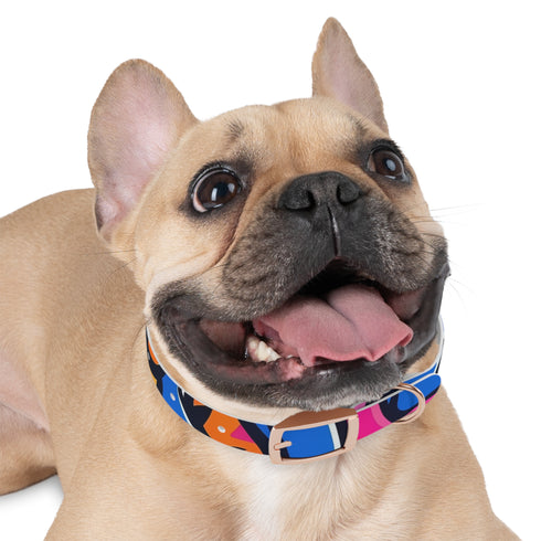Neon graffiti dog collar with vibrant colors for daily walks.