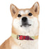 Retro Waves Dog Collar: Vibrant, Stylish and Fun!