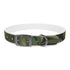 Tiger Print Jungle Safari Collar