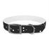 Celestial themed black onyx dog collar with twinkling star pattern.