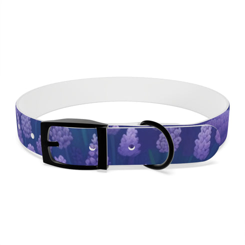 Stylish Lavender Fields Dog Collar: Vibrant Flowers, Comfortable.