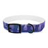 Stylish Lavender Fields Dog Collar: Vibrant Flowers, Comfortable.