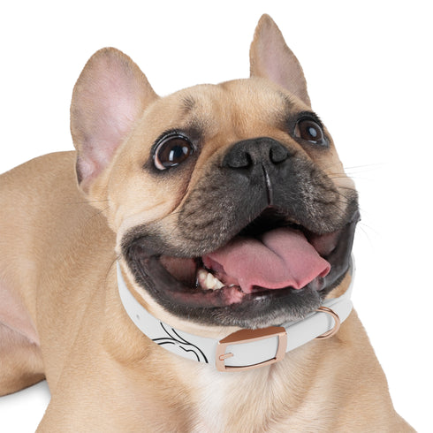 Chic minimalist dog face collar in black onyx for medium dogs.