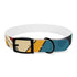 Retro Waves Dog Collar: Vibrant & Stylish