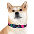 Neon graffiti dog collar with urban chic black onyx design.