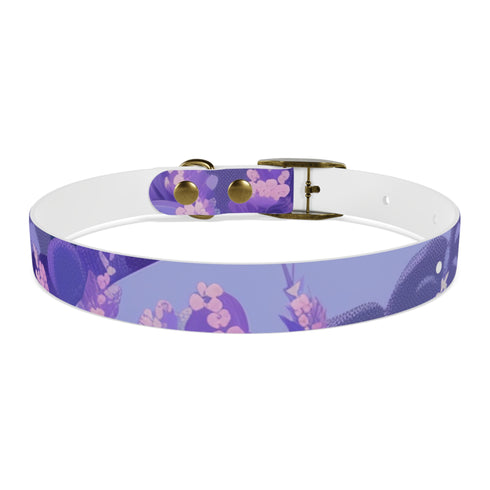 Lavender Fields Dog Collar: M Black Onyx Pet Paradise Accessory Walk