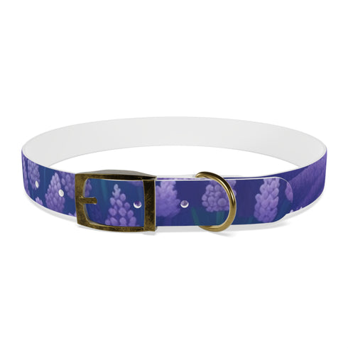 Stylish lavender fields dog collar for medium dogs in black onyx.