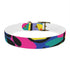 Neon graffiti dog collar in black onyx for urban chic style.