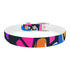 Neon graffiti dog collar in medium size and black Onyx.