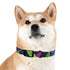 Neon graffiti dog collar with bright colors for trendy pets.
