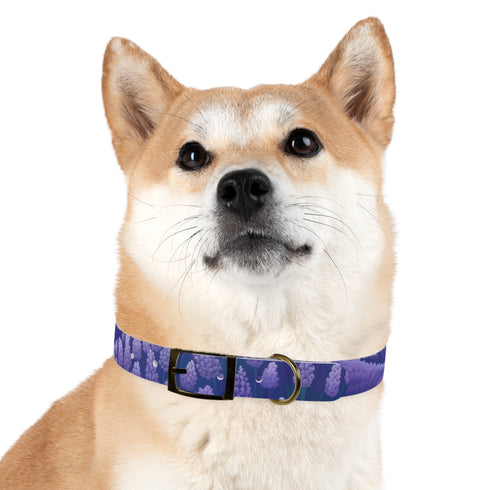 Stylish Lavender Fields Dog Collar in Medium Black Onyx Variant.