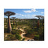 Colorful Madagascar biodiversity jigsaw puzzle, featuring vibrant flora and diverse fauna.