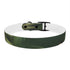 Tiger Print Jungle Safari Collar