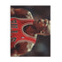 Jordan Bulls jigsaw puzzle with 120 pieces featuring Michael Jordan.